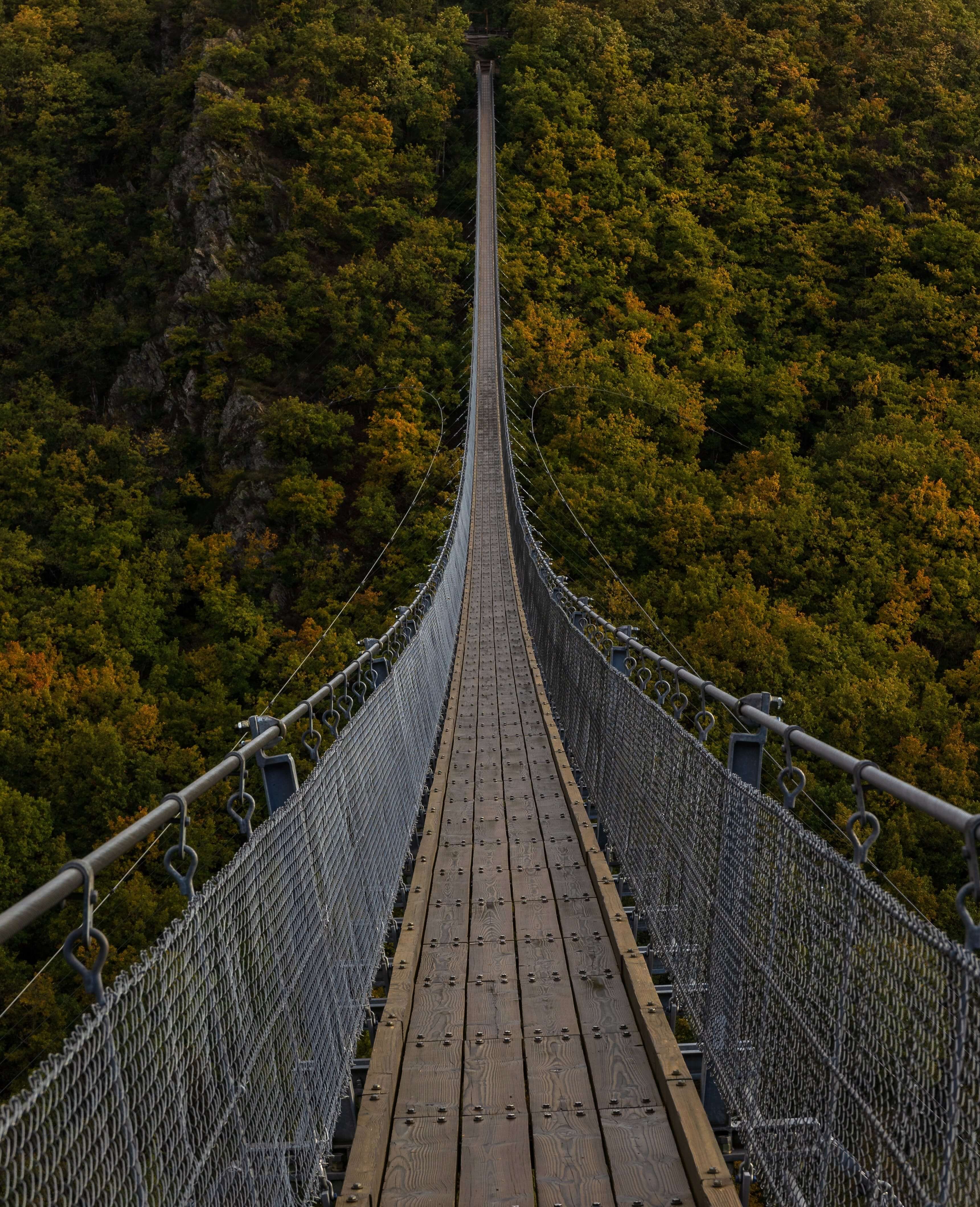 A very long bridge image